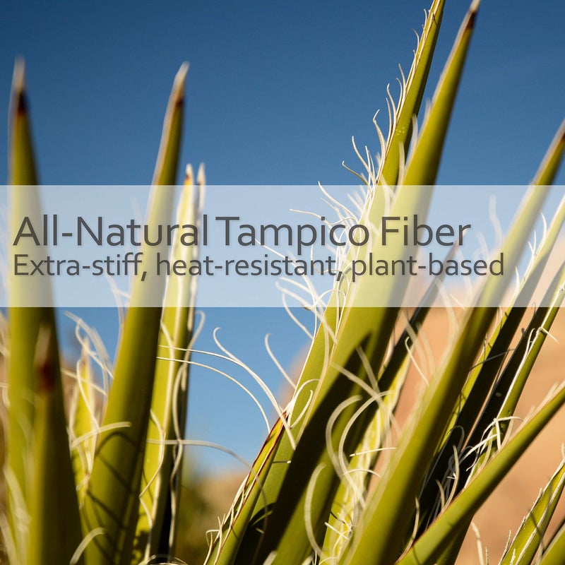 Redecker Tampico Fiber Massage Brush, Oiled Beechwood Handle and Extra-Long Cotton Strap, 5-3/8 inches, Made in Germany - Image 2